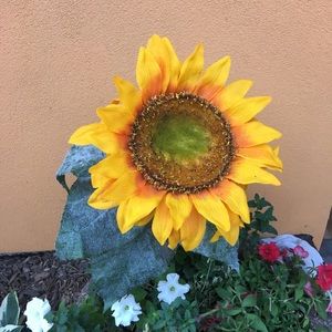 Meet your Posher, Kira